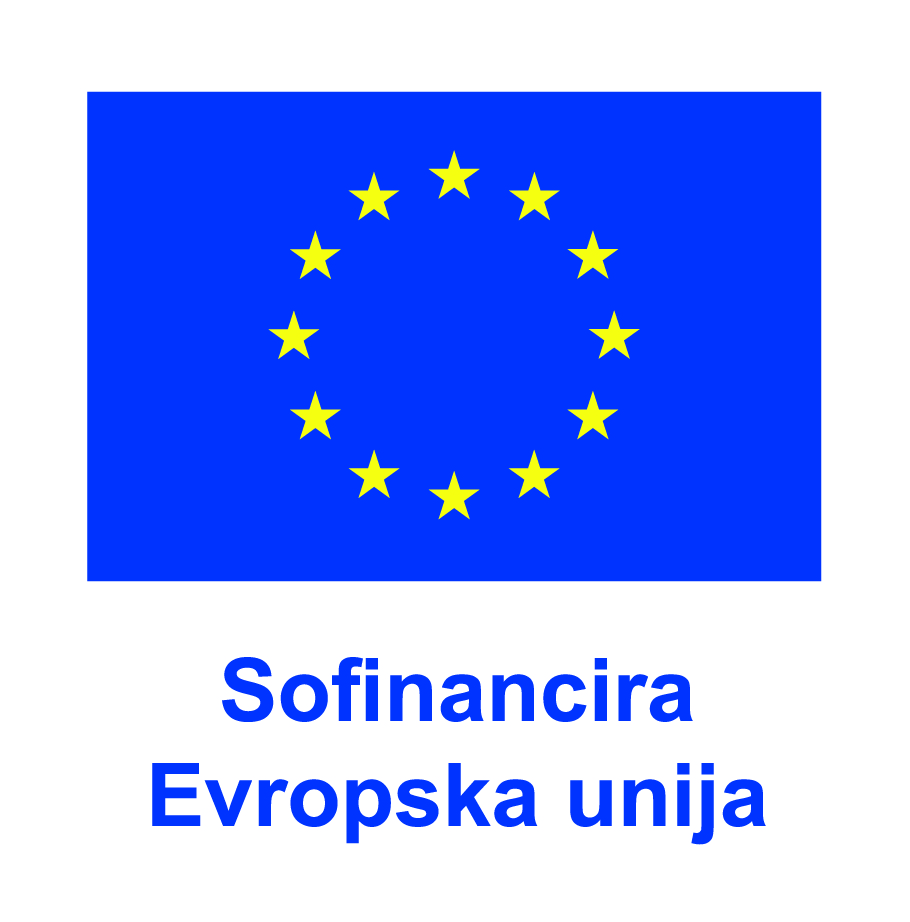 SL V Sofinancira Evropska unija_POS